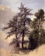 Asher Brown Durand Study from Nature Trees,Newburgh, china oil painting reproduction